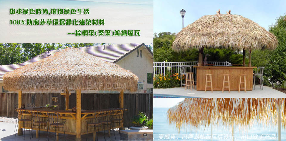 茅草伞|毛草伞||葵蓬 茅草伞|毛草伞|葵蓬